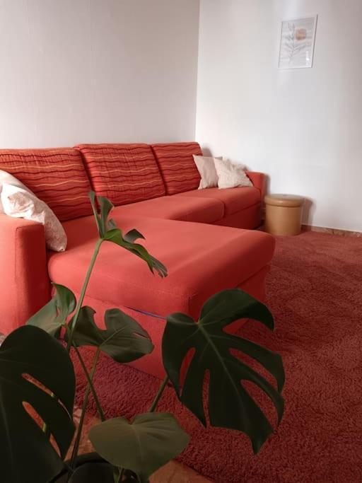 Forti Genova-Free Parking Castellaccio Apartment Esterno foto